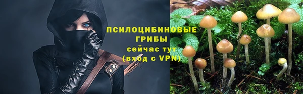 наркотики Богородск