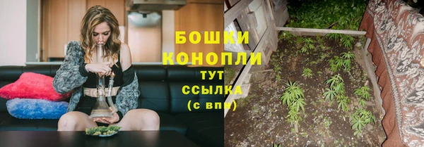 винт Богородицк