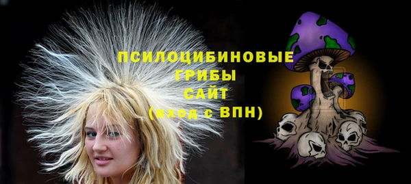 винт Богородицк