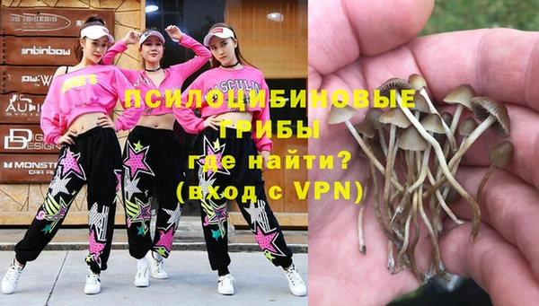 винт Богородицк